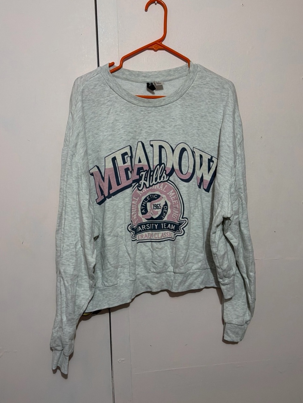 H&M Light Gray Meadow Hills Graphic Sweatshirt with Navy & Pink Print